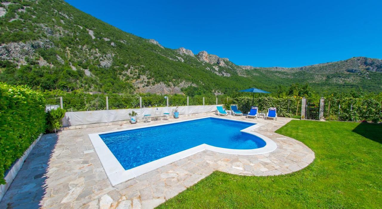 Vacation My Dream Buna