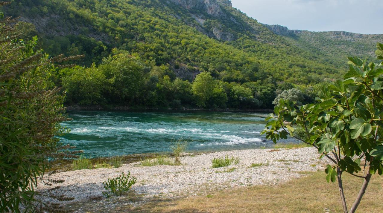 Prázdninový dům Vacation My Dream Buna
